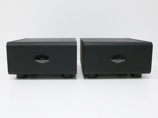 Apollon PET950M High-End Mono Endverstärker