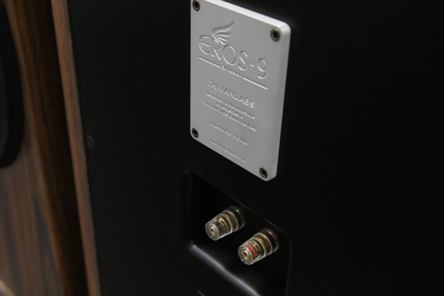 Thivan Labs Eros-9 Anniversary High-End Standlautsprecher