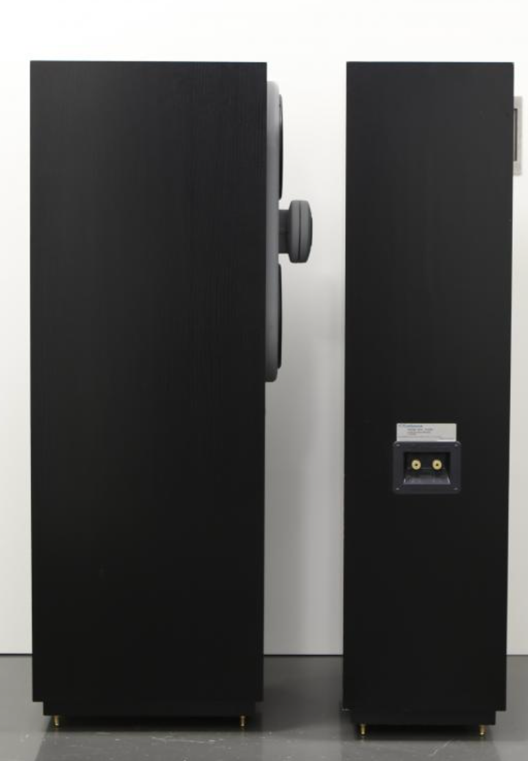 Cabasse Iroise SCS High-End Standlautsprecher