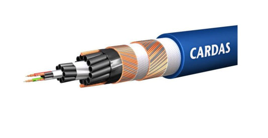 CARDAS beyond interconnect XLR