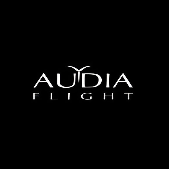 Marke: Audia Flight