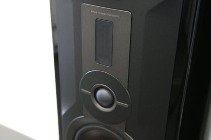 DALI Epikore 9 schwarz High-End Standlautsprecher
