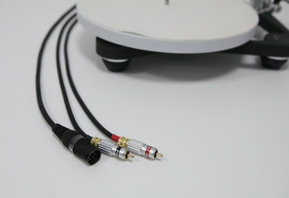 Rega Planar 10 mit Apheta 3 Referenz-Plattenspieler