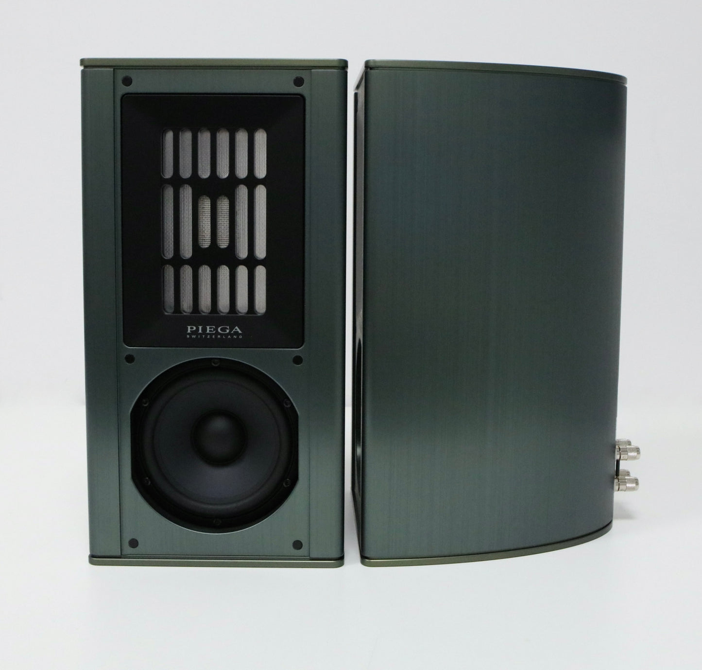 PIEGA Coax 311 misty green High-End Kompaktlautsprecher