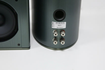PIEGA Coax 311 misty green High-End Kompaktlautsprecher