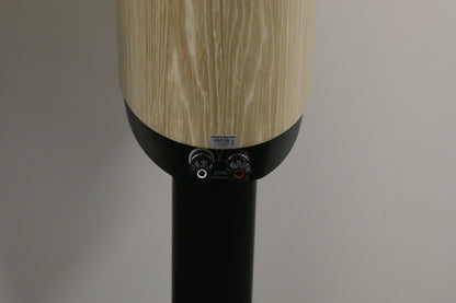 Dynaudio Confidence 20 High-End Lautsprecher