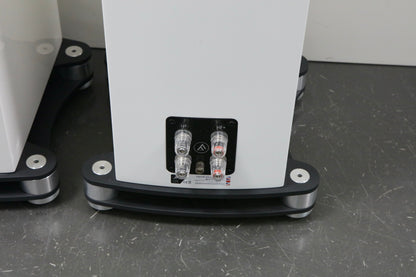 Fyne Audio F501 SP High-End Lautsprecher