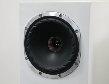 Fyne Audio F501 SP High-End Lautsprecher