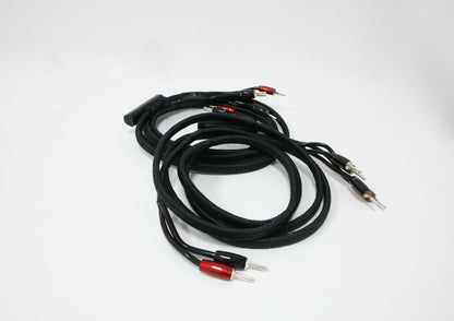 AudioQuest Rocket 88 Bi-Wire 2x3m Lautsprecherkabel
