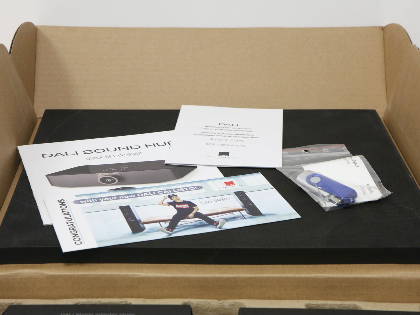 DALI Sound HUB unbenutzt in der Originalverpackung