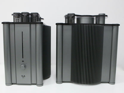 T+A M10 High-End Monoendstufen