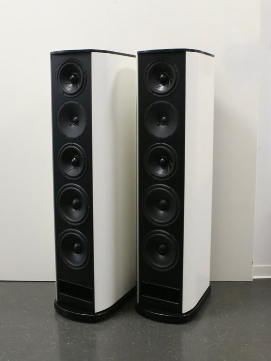 T+A Criterion TCD 310 S High-End Standlautsprecher - 1 Paar