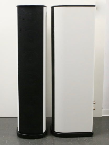 T+A Criterion TCD 310 S High-End Standlautsprecher - 1 Paar