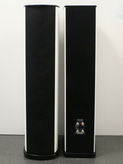 T+A Criterion TCD 310 S High-End Standlautsprecher - 1 Paar
