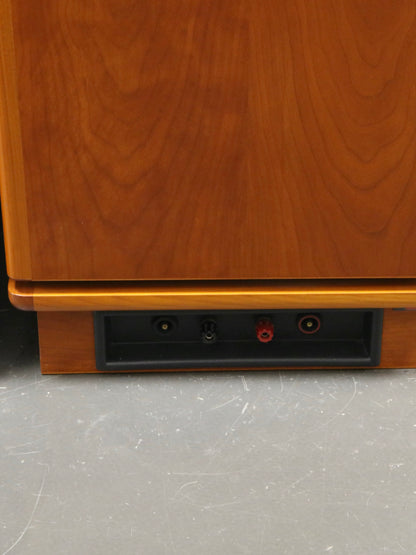 Dynaudio Consequence MKII HighEnd Standlautsprecher