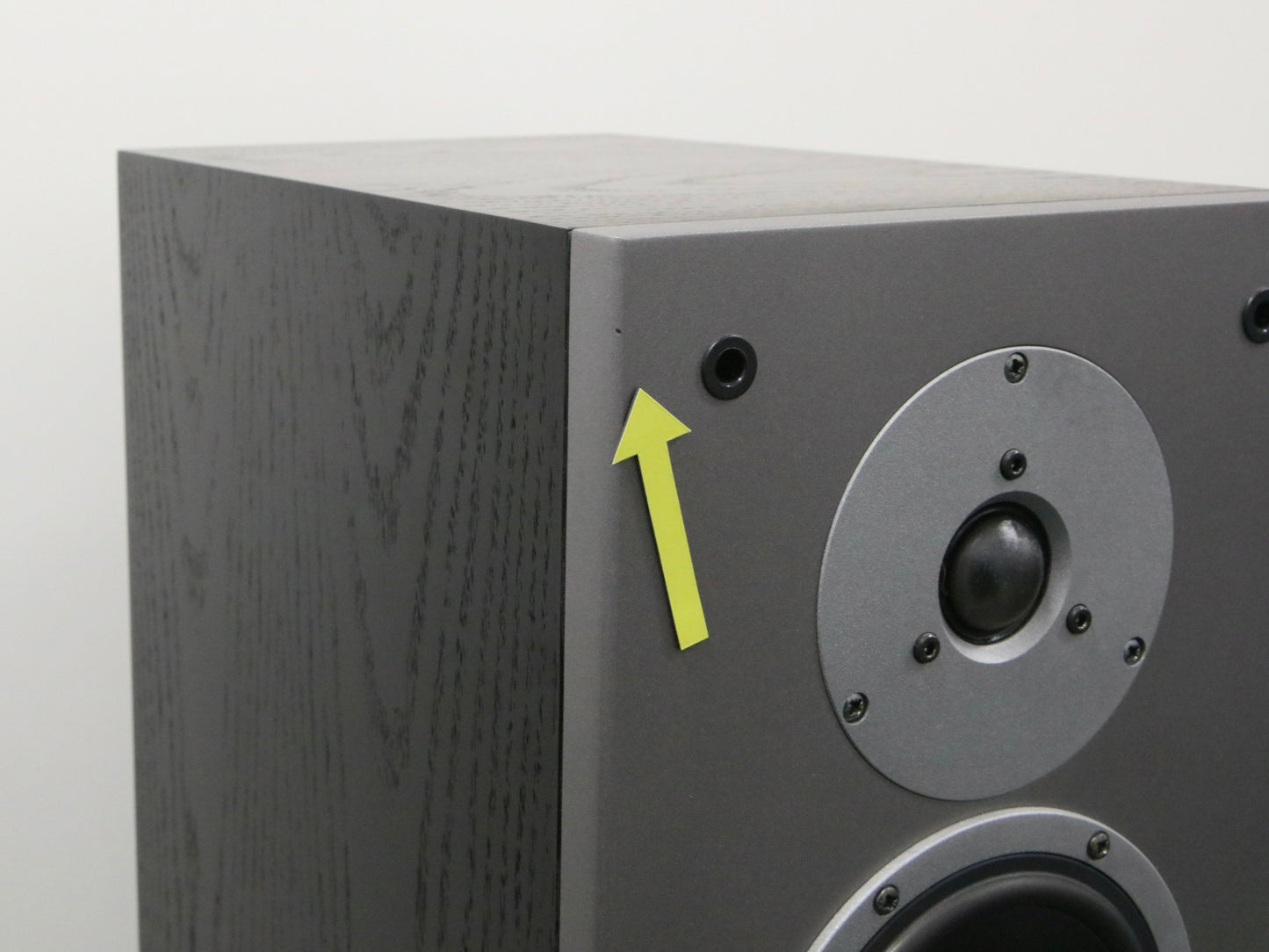 Dynaudio Audience 82 Standlautsprecher