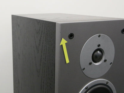 Dynaudio Audience 82 Standlautsprecher