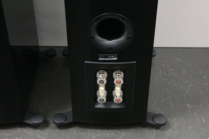 Dali Rubikore 6 High-End Standlautsprecher