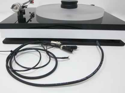 Bauer Audio DPS3 mit Tonarm High-End Plattenspieler