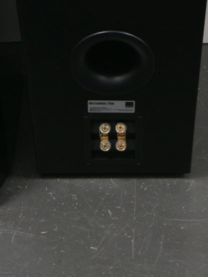 SVS Ultra Evolution Titan High-End Standlautsprecher