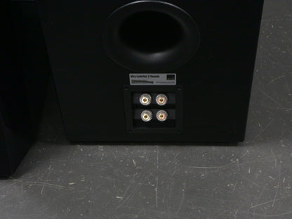 SVS Ultra Evolution Pinnacle High-End Standlautsprecher
