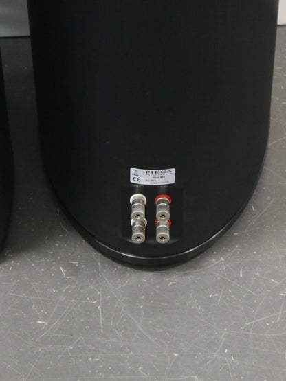 Piega Coax 811 High-End Standlautsprecher