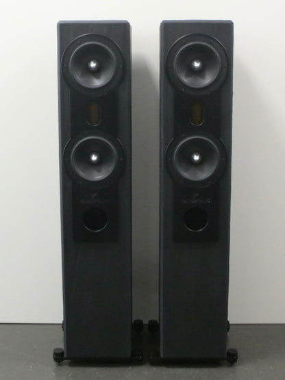 Fischer & Fischer SN 370 AMT High-End Standlautsprecher