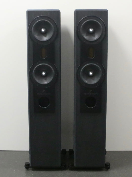 Fischer & Fischer SN 370 AMT High-End Standlautsprecher