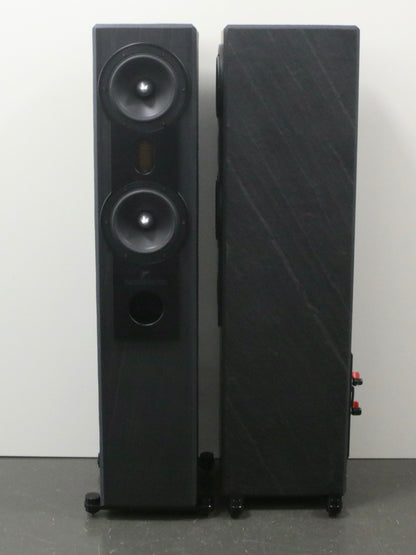 Fischer & Fischer SN 370 AMT High-End Standlautsprecher