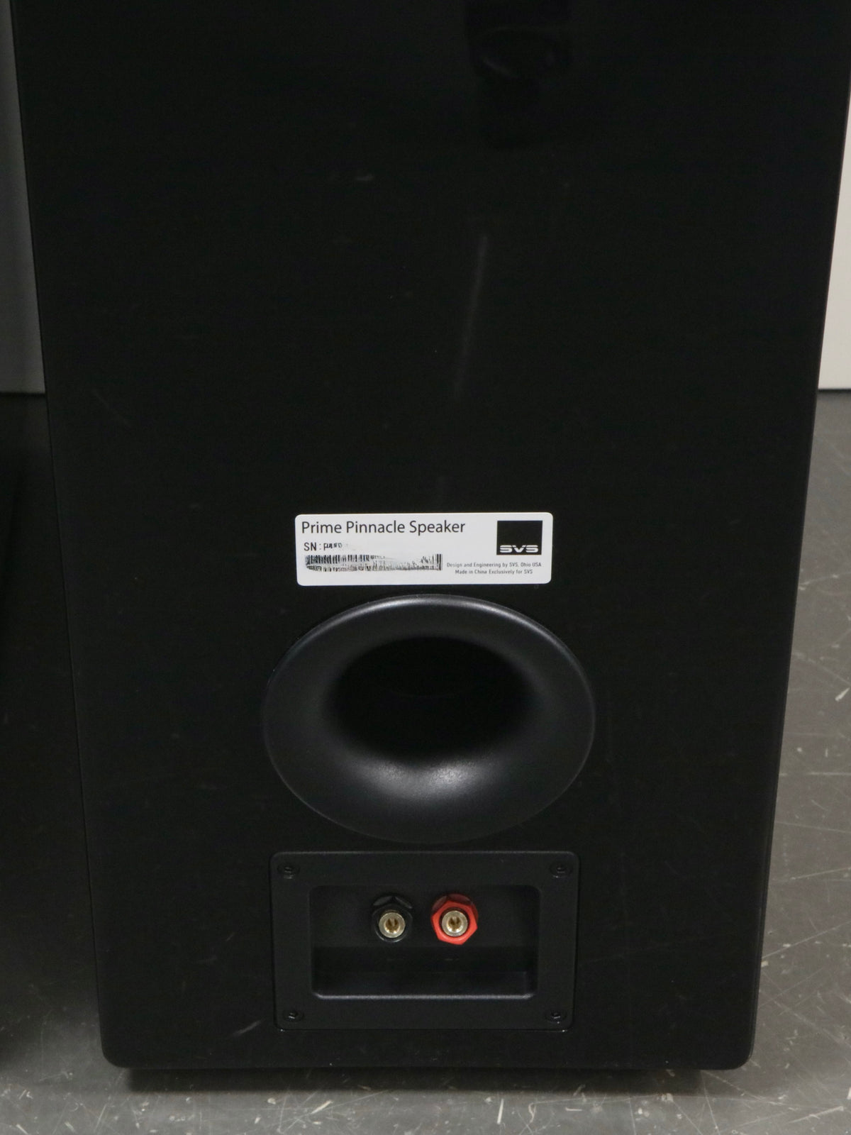 SVS Prime Pinnacle Standlautsprecher