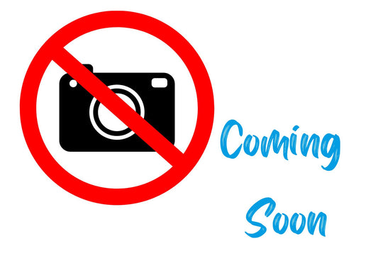 GamuT Zodiac Reference Standlautsprecher