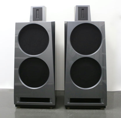 Viva Audio Allegro High-End Lautsprecher !HIGHLIGHT!