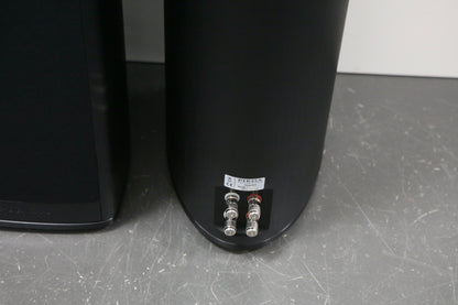 PIEGA Coax 611 schwarz High-End Standlautsprecher aus 01/25