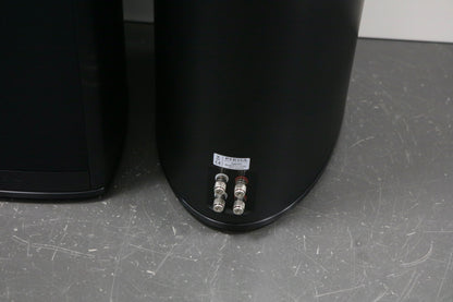 PIEGA Coax 811 schwarz High-End Standlautsprecher aus 01/25